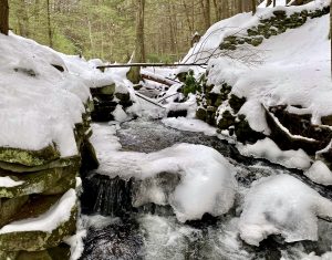 Snowy Stream in the Catskills