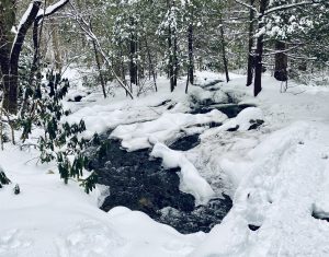 Winter_Stream