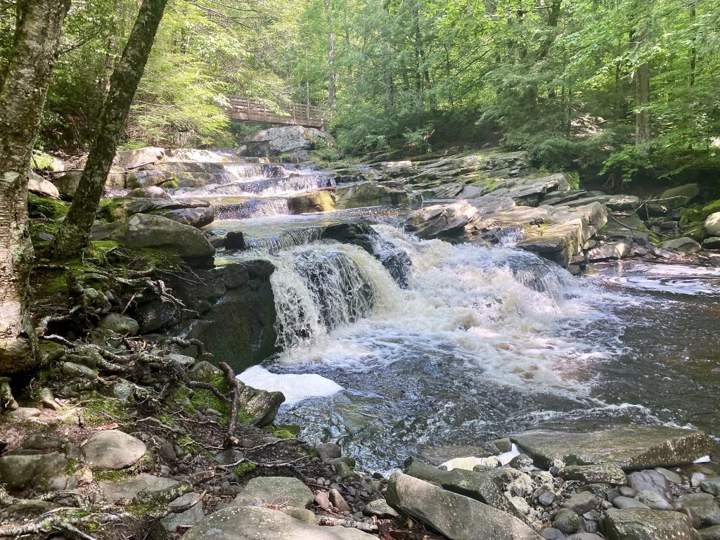 Falls and Bridge