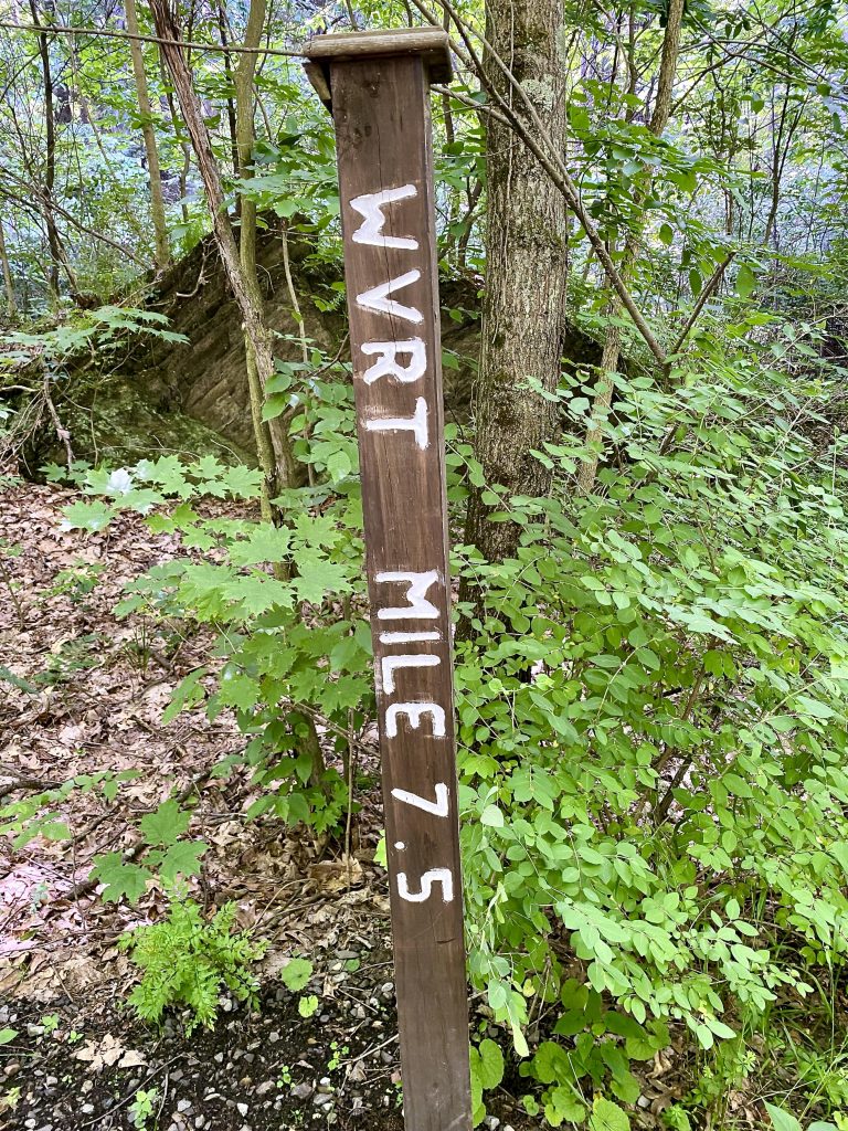 New Paltz Signpost