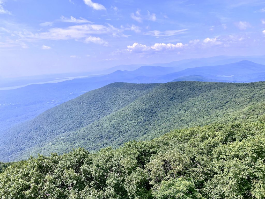 View from Fire Tower