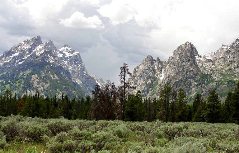 Tetons