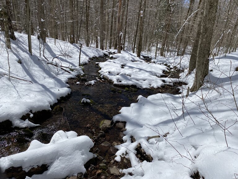 Big Indian Park Snowy Stream