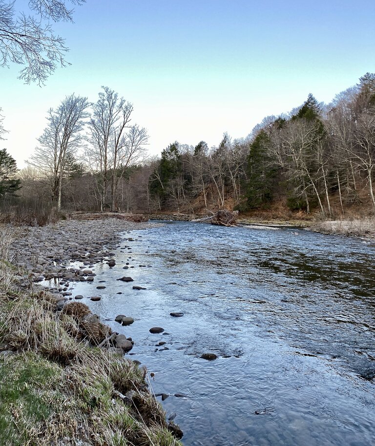 Backyard River