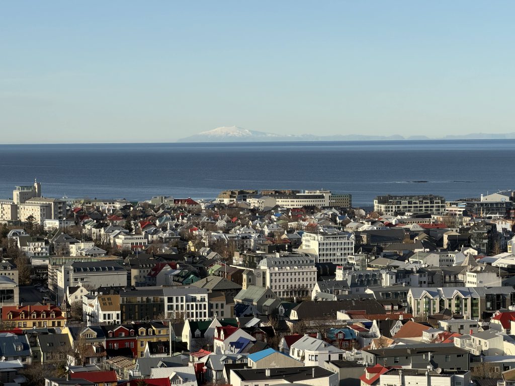 Book Review(s): The Good Shepherd and Miss Iceland 2 Reykjavik